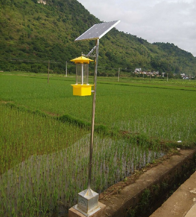 1640836098177275.jpg IMG_20160624_085509.jpg