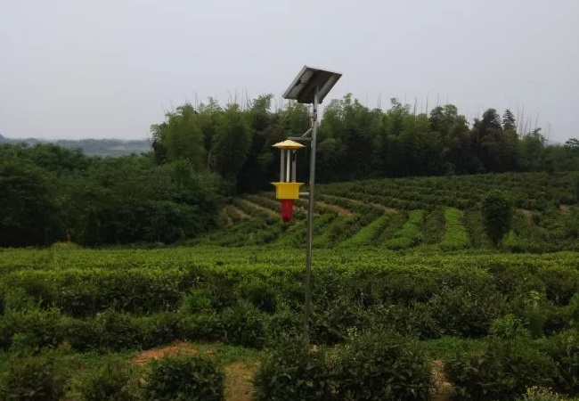 1653555151107111.jpg psb (9).jpg