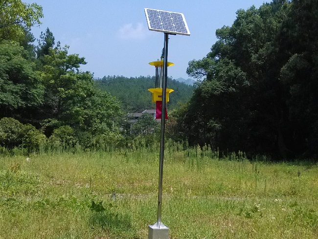 1653891893141168.jpg IMG_20150805_105131.jpg