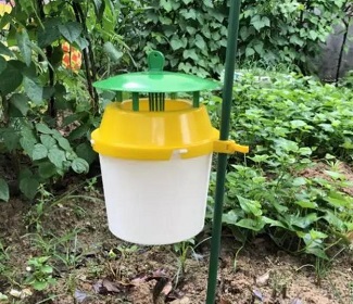 草地貪夜蛾誘捕器