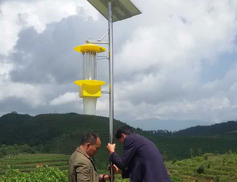 殺蟲燈在烤煙行業(yè)中的應用效果對比分析