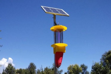 云飛頻振式殺蟲燈來到芒果之鄉田東縣