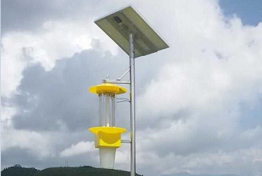 云飛太陽能殺蟲燈來到盧氏縣核桃產地