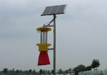 云飛太陽能殺蟲燈保護銀杏樹健康