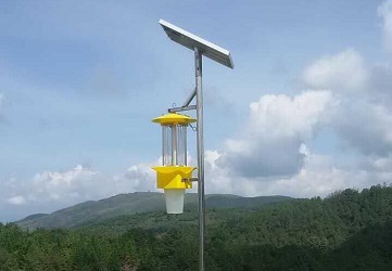 云飛檸檬殺蟲燈走進四川省安岳縣檸檬之鄉(xiāng)