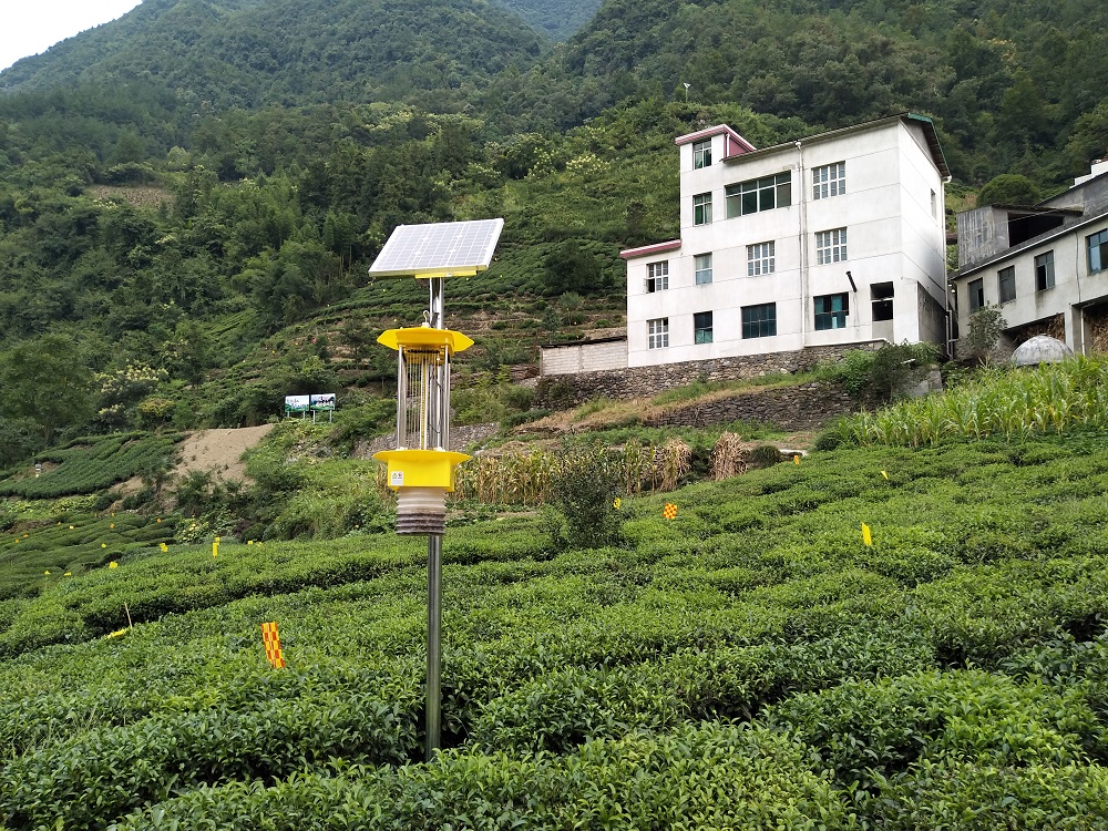 云飛自動清蟲太陽能殺蟲燈