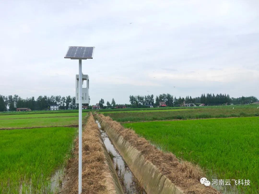 云飛太陽能風吸式殺蟲燈