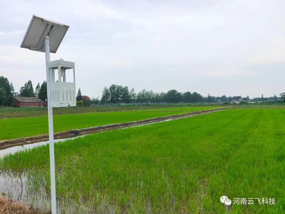 云飛太陽能風(fēng)吸式殺蟲燈