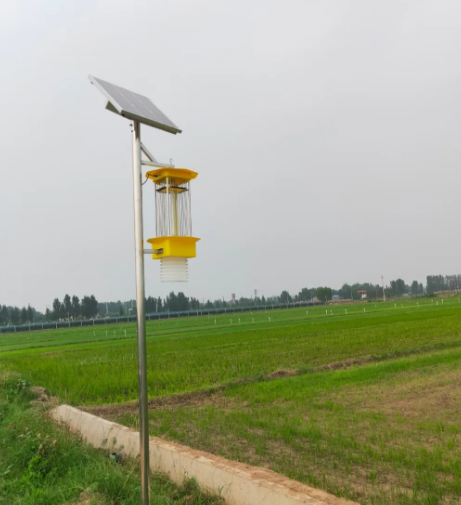 云飛太陽能自動(dòng)清蟲殺蟲燈