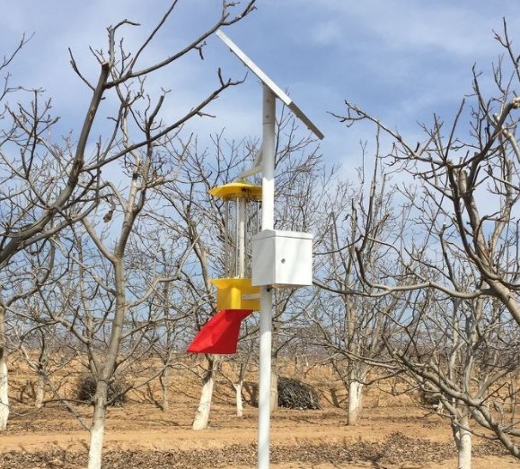 云飛物聯網殺蟲燈